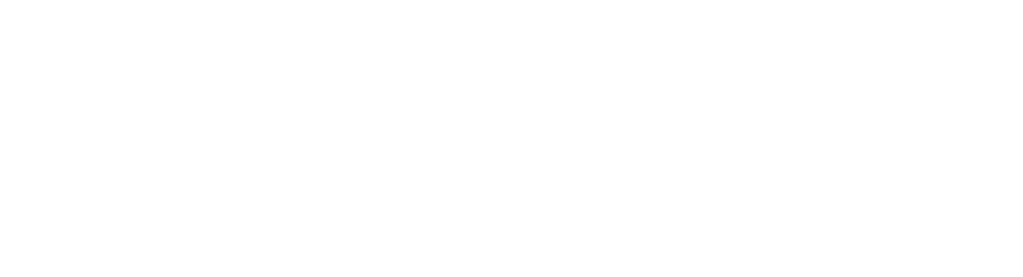 Webshop Enjoyl