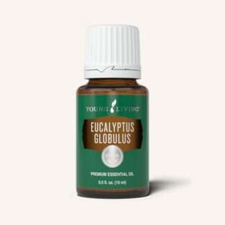 Eucalyptus Globulus 15 ml